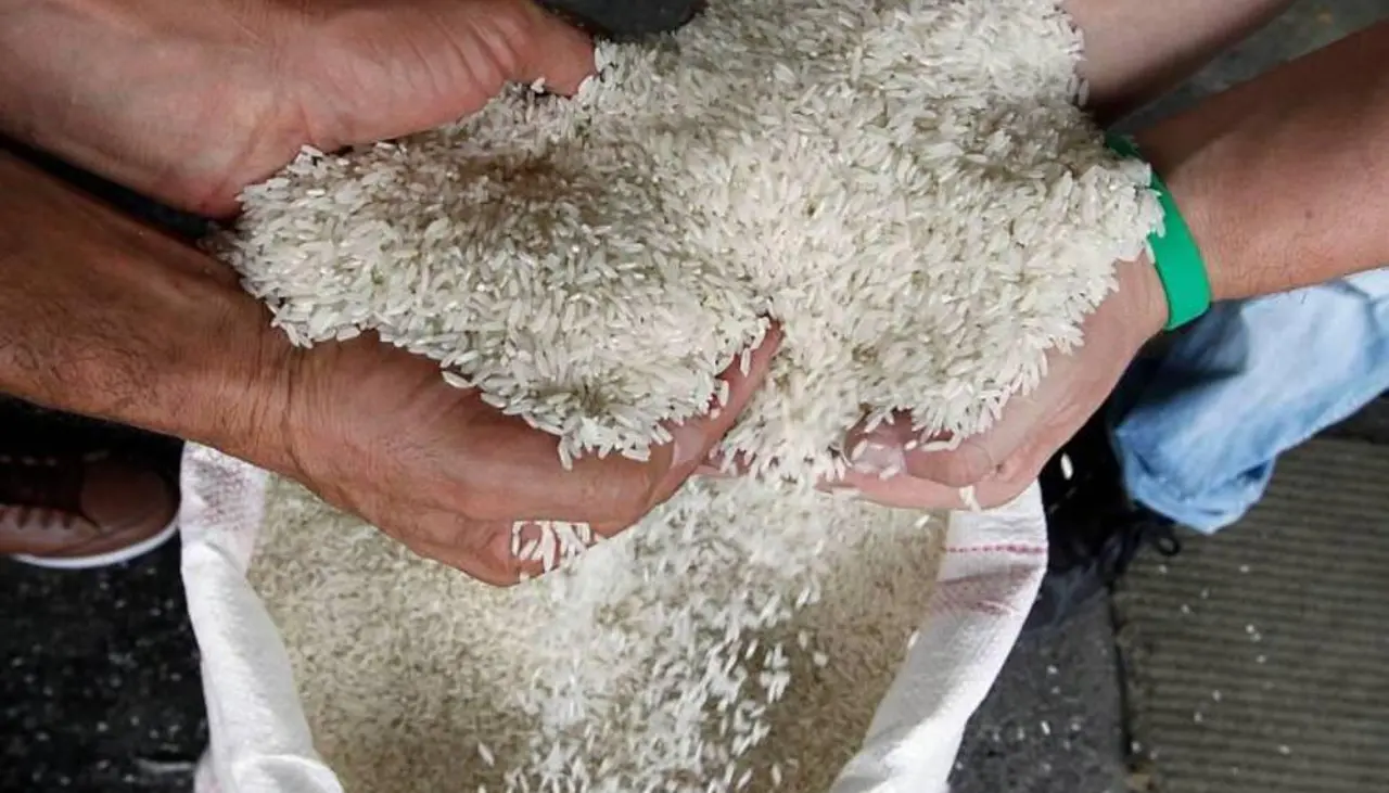 Empresa estatal recibió arroz importado que no cumple con especificaciones de calidad y no puede recuperar Bs 63 millones