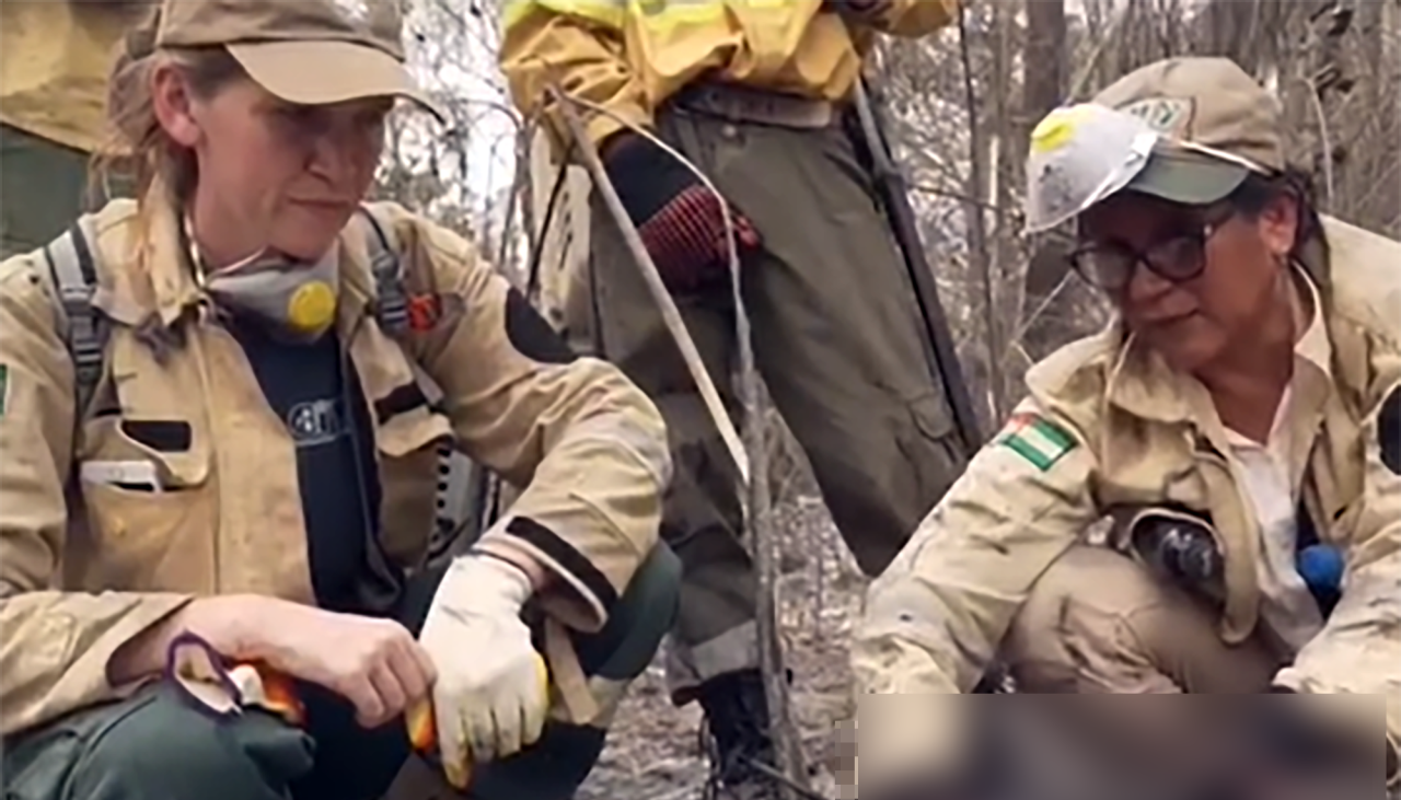 Incendios en Ascensión de Guarayos: “En 20 metros, hemos encontrado cinco animales muertos calcinados”, señala organización