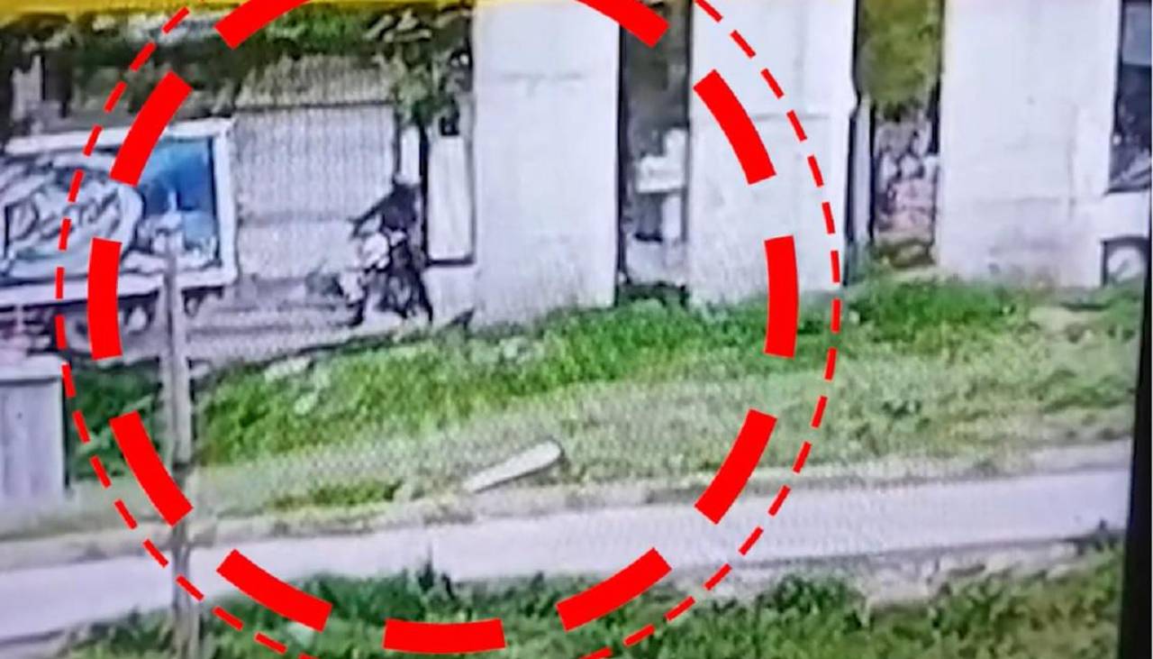Video capta el momento en que delincuentes huyen después de atracar a un librecambista 