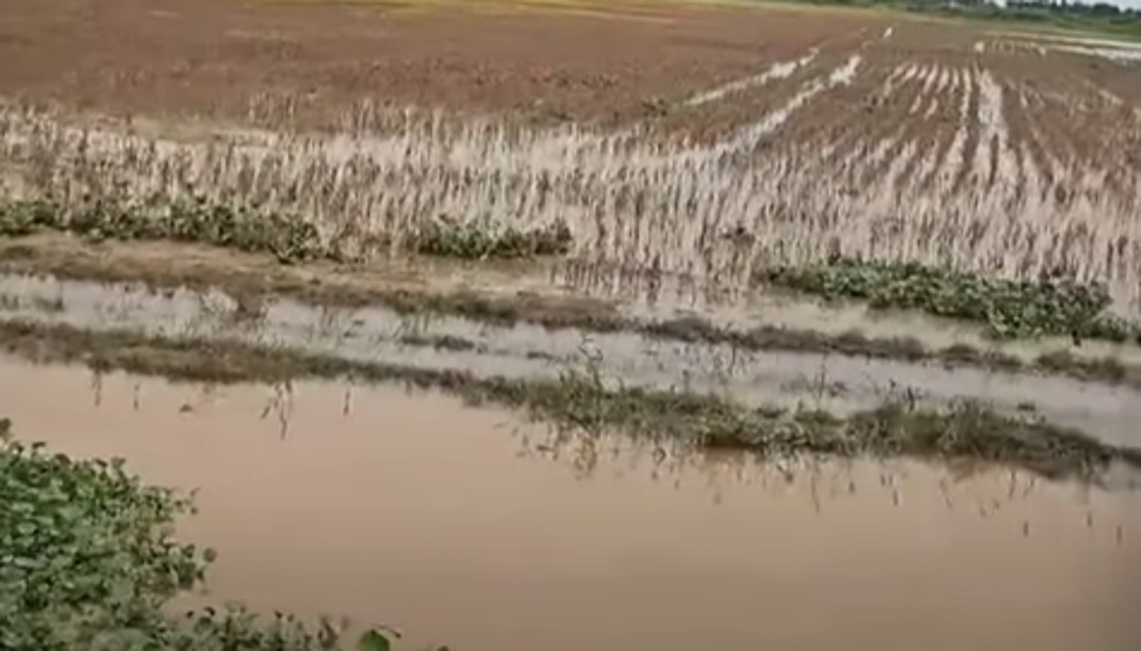 “Si viene otra riada, los defensivos no aguantan y Hardeman va a desaparecer” señala el alcalde de San Pedro