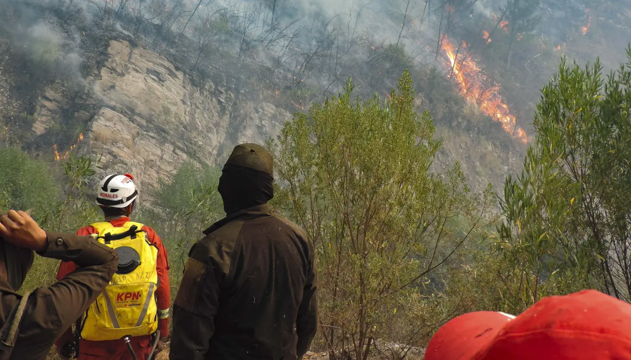 Defensa reporta 30 incendios forestales hasta la fecha y un fuego activo “preocupante” en el parque Noel Kempff