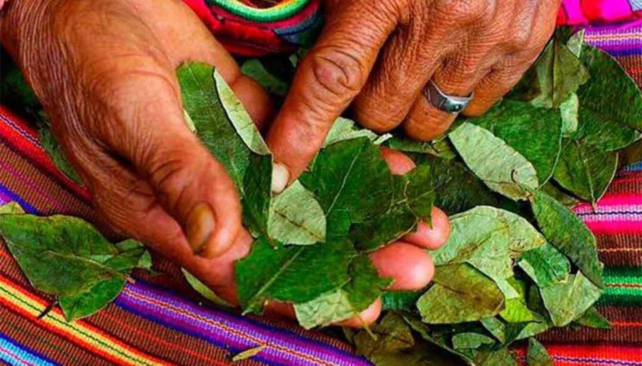 Hallan muerta y con restos de coca en su boca a una mujer de 65 años