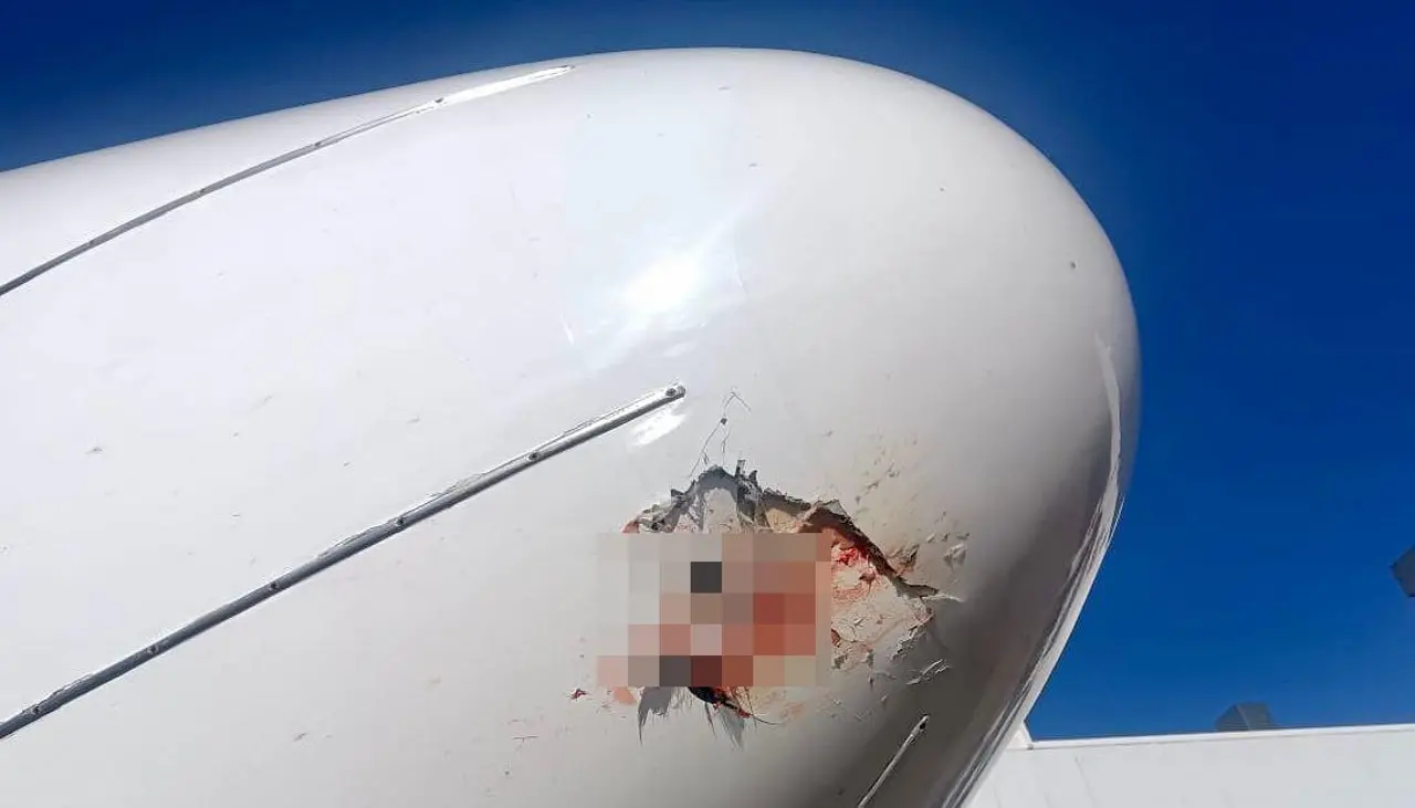 BoA reporta que los vuelos se demoraron el sábado por la “colisión de aves” y el clima