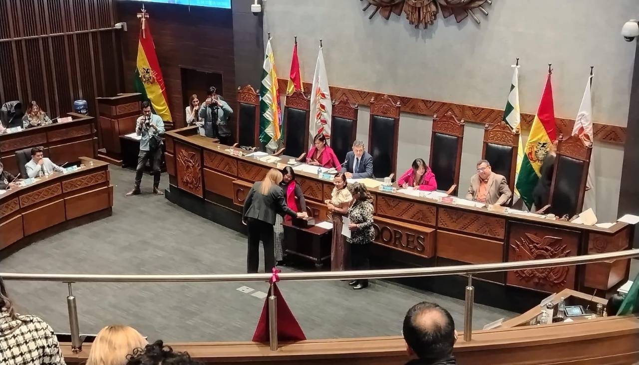 Con mayoría de votos, el Senado aprueba plancha única y reelige a Ávila como presidente