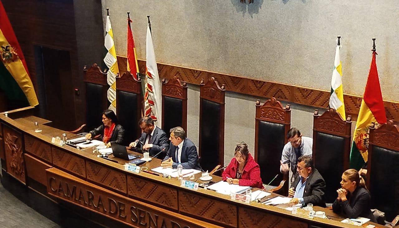 Ministro de Hidrocarburos se presenta ante el Senado para responder por el combustible 