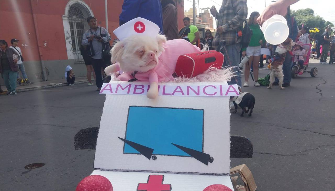 Con creativos y coloridos, así se realiza el Corso de Mascotas de Cochabamba