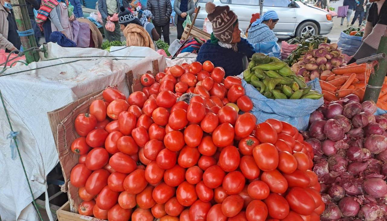 Sube el precio del tomate en Cochabamba, agropecuarios advierten de la baja producción por la sequía