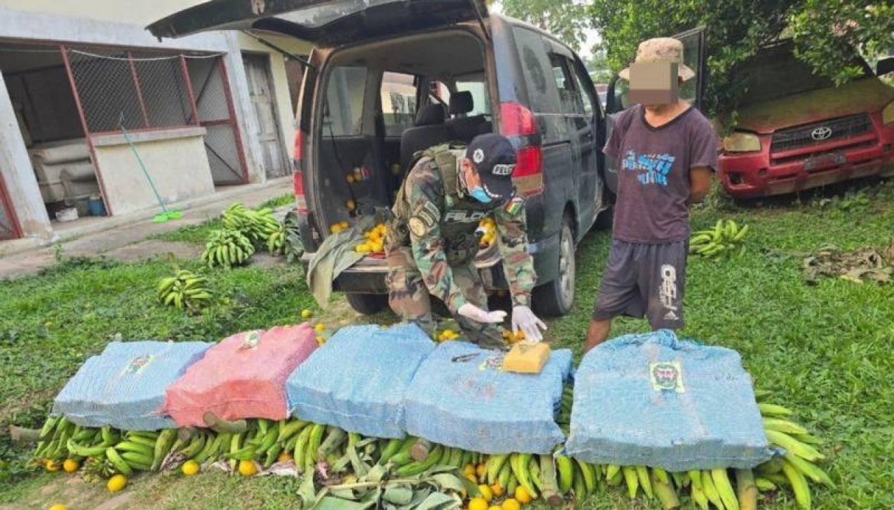 Hallan 127 kilos de marihuana camuflada entre fruta; hay un aprehendido