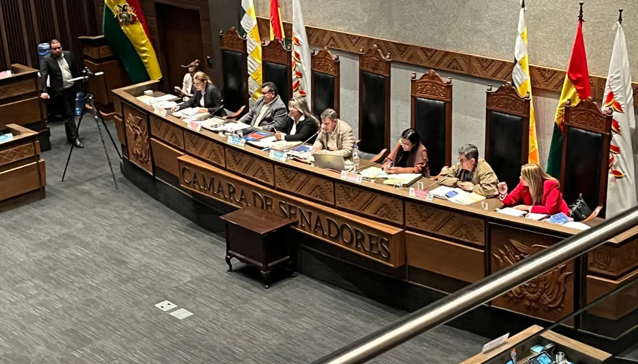 Senado aprueba en su estación en grande el proyecto de ley para las elecciones subnacionales en Bolivia