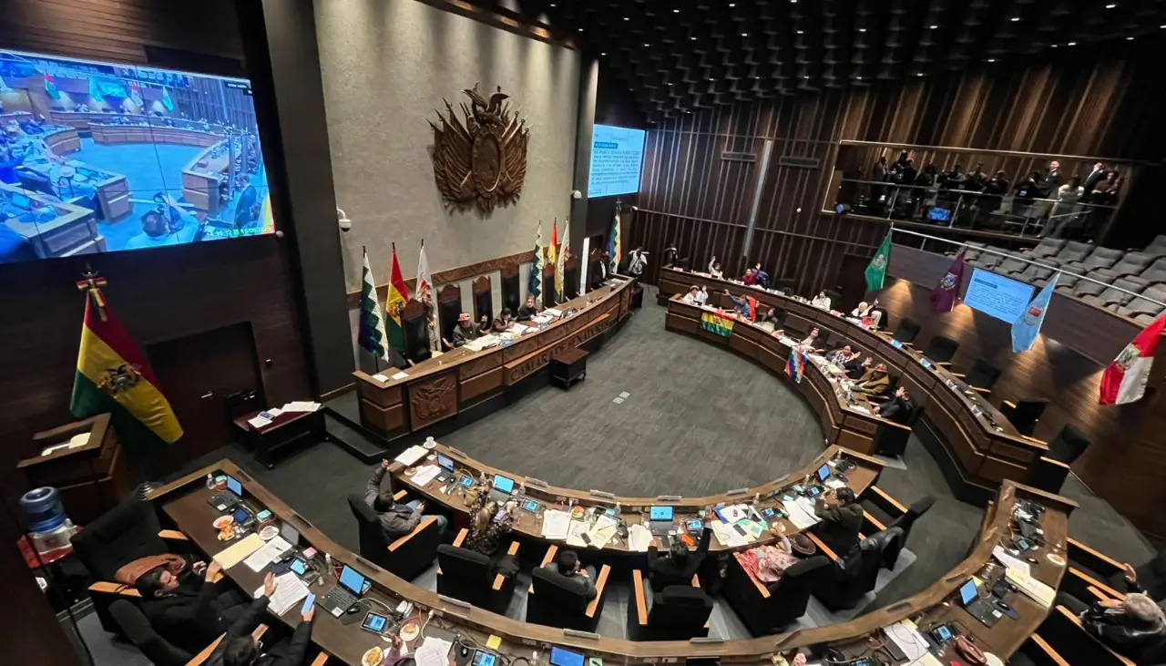 Senadores aprueba en su estación en grande un crédito de hasta $us 250 millones del BID