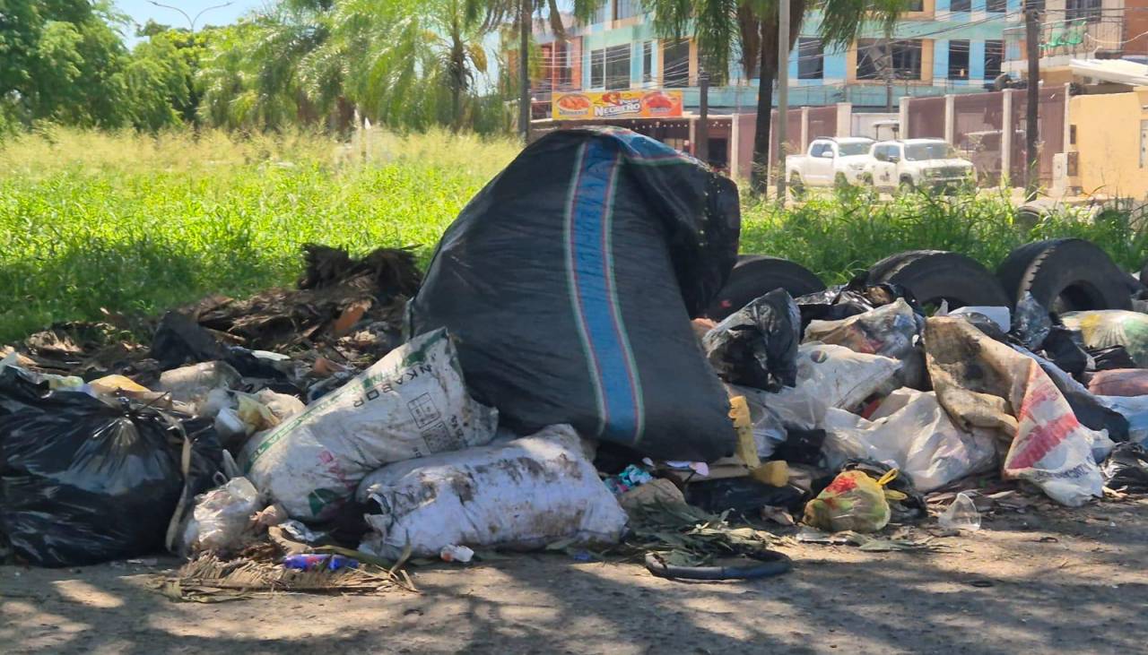 Calles y avenidas con basura, parques y plazuelas con maleza, así luce la capital cruceña a pocos días del Año Nuevo 