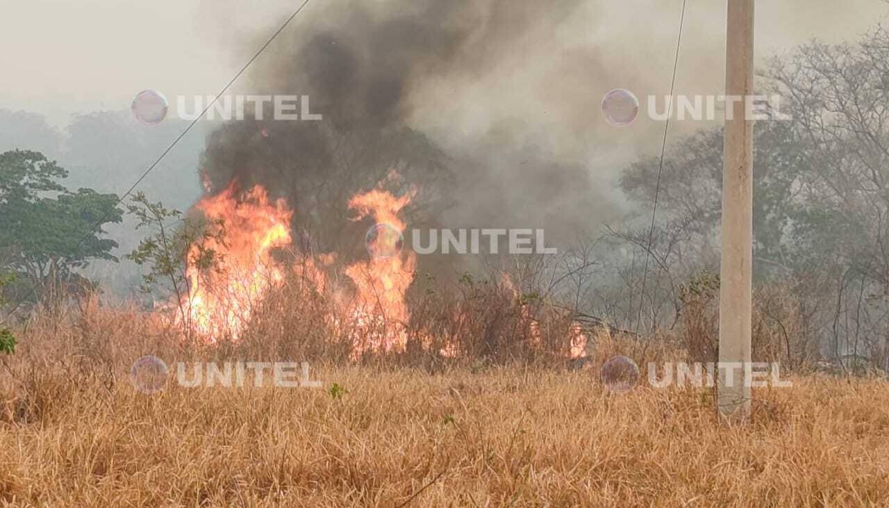 Video: vecinos luchan contra el fuego en la carretera a Concepción; el viento dificulta la labor