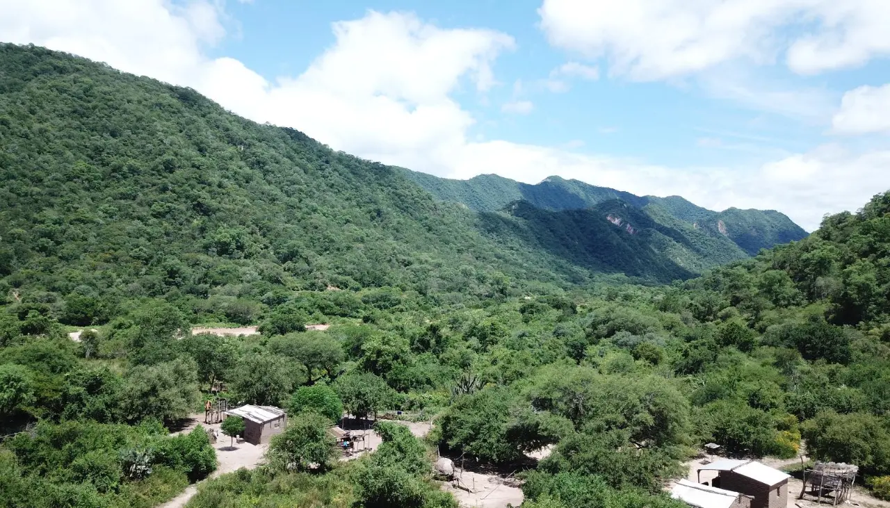 Bolivia avanza en la consolidación de bonos verdes con plan en Charagua para captar financiamiento climático