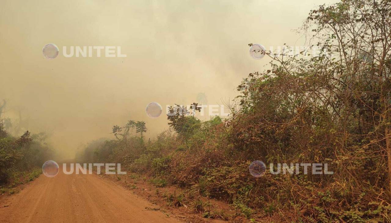 Incendios acechan a comunidades aledañas a Concepción; fuego supera los cinco metros de altura 