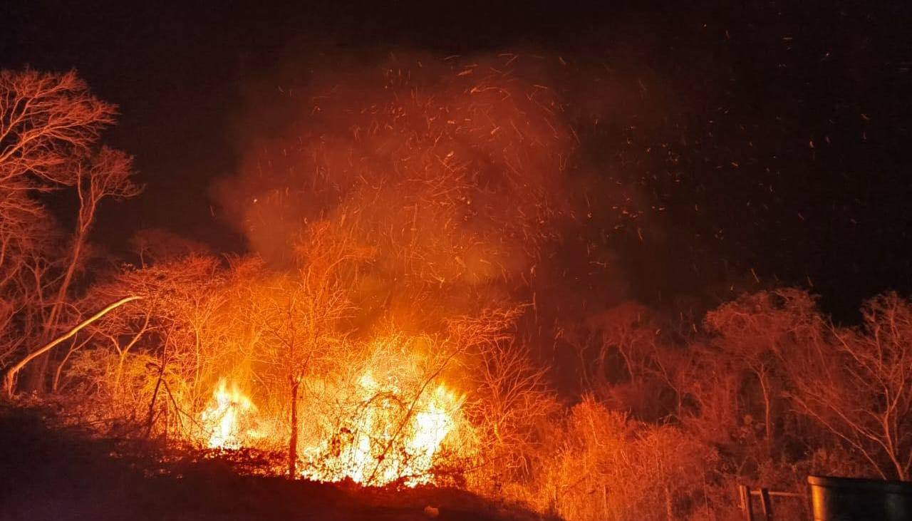 CAO señala que hay productores afectados por incendios y pide aplicar “mecanismos técnicos” para identificar a los responsables 