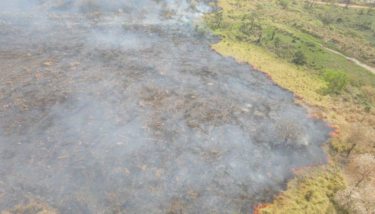 Defensa Civil reporta cuatro incendios activos y 563 focos de calor en el país