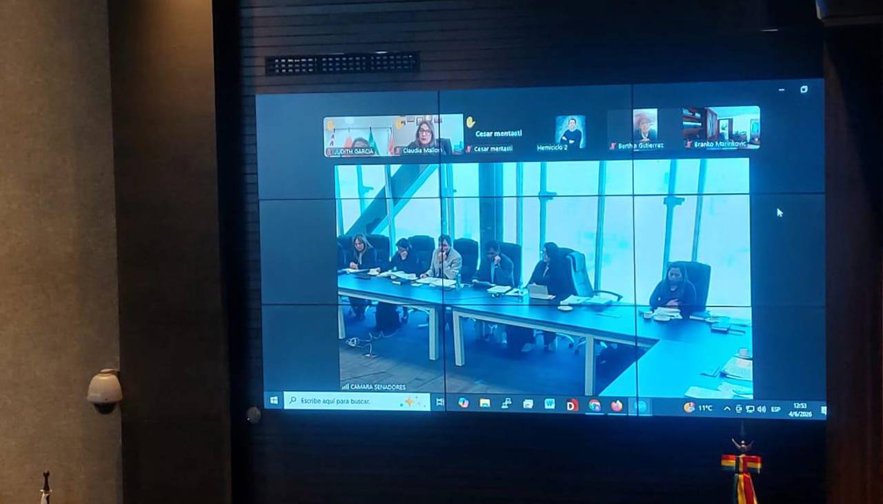 Senado instala sesión para tratar ley de Estado de excepción presentada por el Gobierno