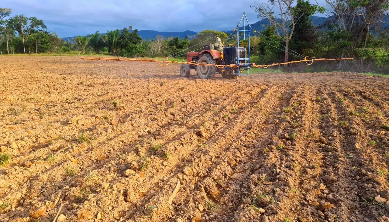 Siembra de soya en el norte paceño: Hay limitaciones técnicas, logísticas y ambientales, advierte experto
