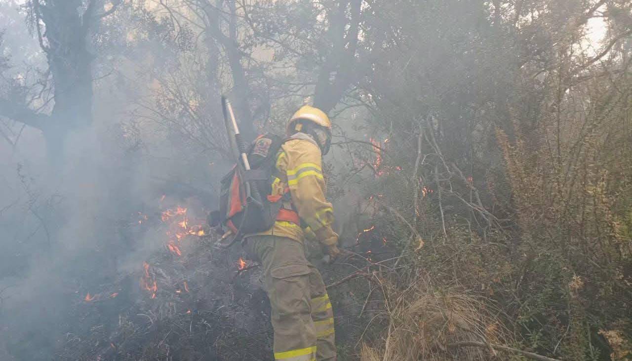 Cochabamba: Bomberos retoman el combate contra el incendio que afecta al Parque Nacional Tunari