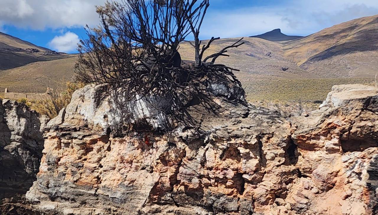 Descartan actividad volcánica en el sudoeste potosino, el humo era de una planta nativa quemada