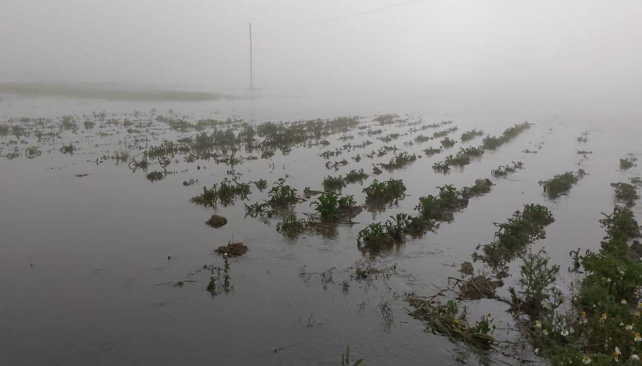 La Paz: Hectáreas de papa, cebada y quinua se pierden por el desborde del río en Pucarani, señalan pobladores