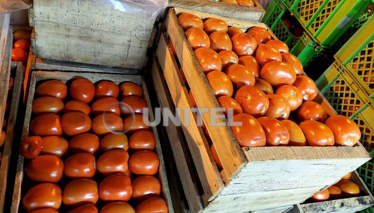 Precio del tomate baja a Bs 3 el kilo en Santa Cruz de la Sierra en medio de los bloqueos