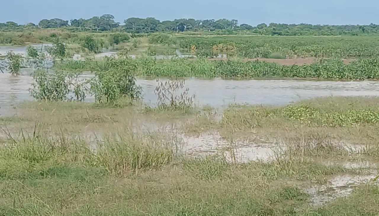 Inundaciones en Pailón: Dos comunidades están en riesgo 