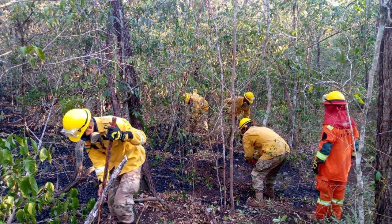 INRA insta a buscar soluciones técnicas para cambiar el uso del fuego en la agricultura