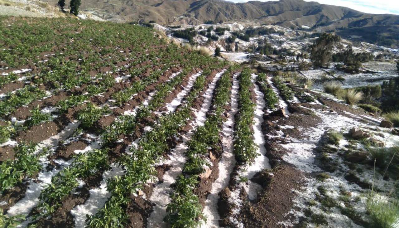 Intensa granizada afectó al menos 13 comunidades en Tacaparí, autoridades analizan declararse en desastre