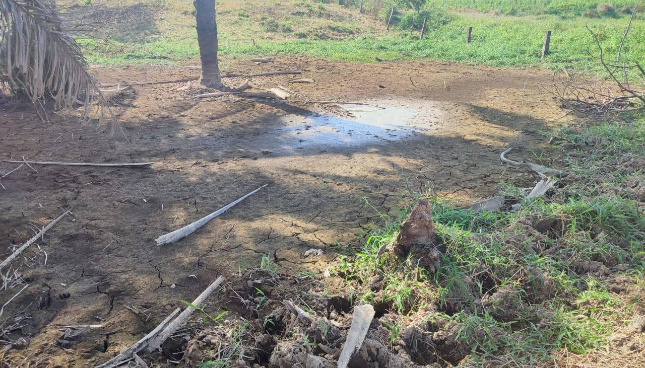 Santa Cruz: Falta de agua y forraje provoca la pérdida de peso del ganado, advierten productores de San Julián