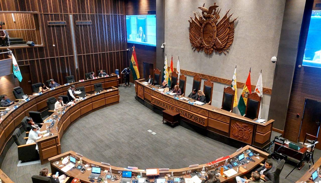 Senado aprueba en su estación en grande la ley de escaños y abre análisis en detalle