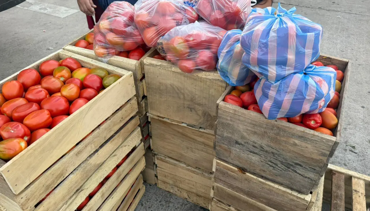 Bloqueos provocan sobreoferta de tomate en Santa Cruz y escasez crítica en La Paz y Cochabamba