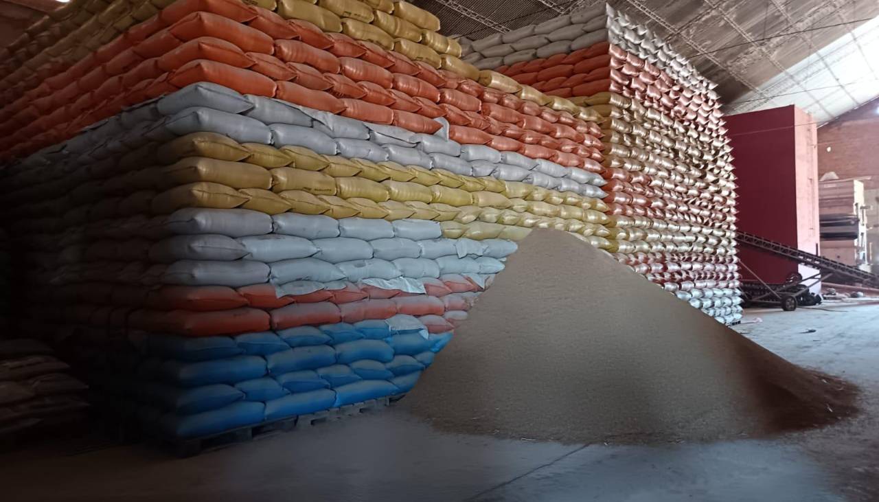 Sector arrocero en alerta: 600.000 toneladas no pueden distribuirse por falta de combustible 