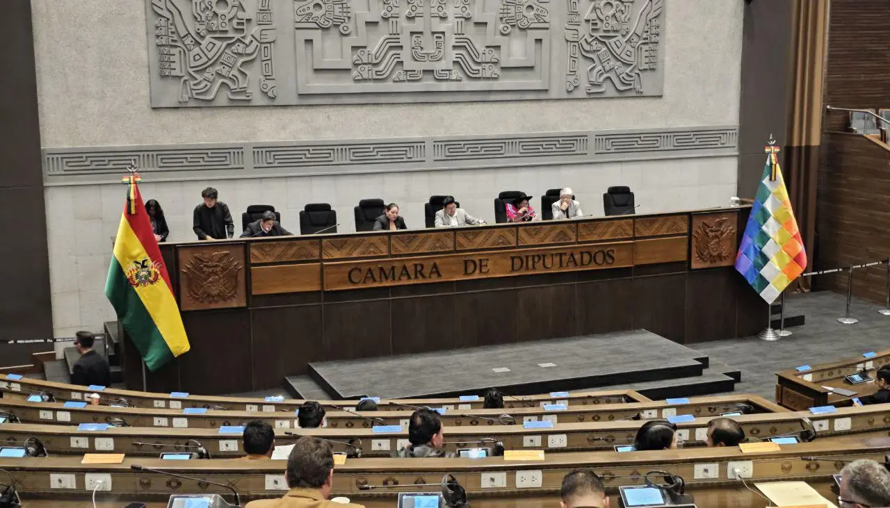 La Cámara de Diputados pospone sin fecha el proyecto de ley para seleccionar vocales del TSE