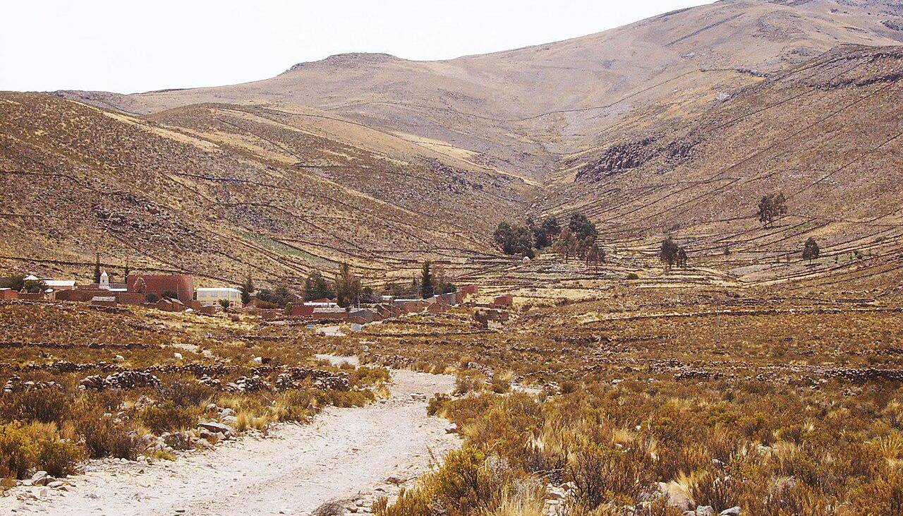Hallan partes del cuerpo de una persona en un lote baldío en Oruro