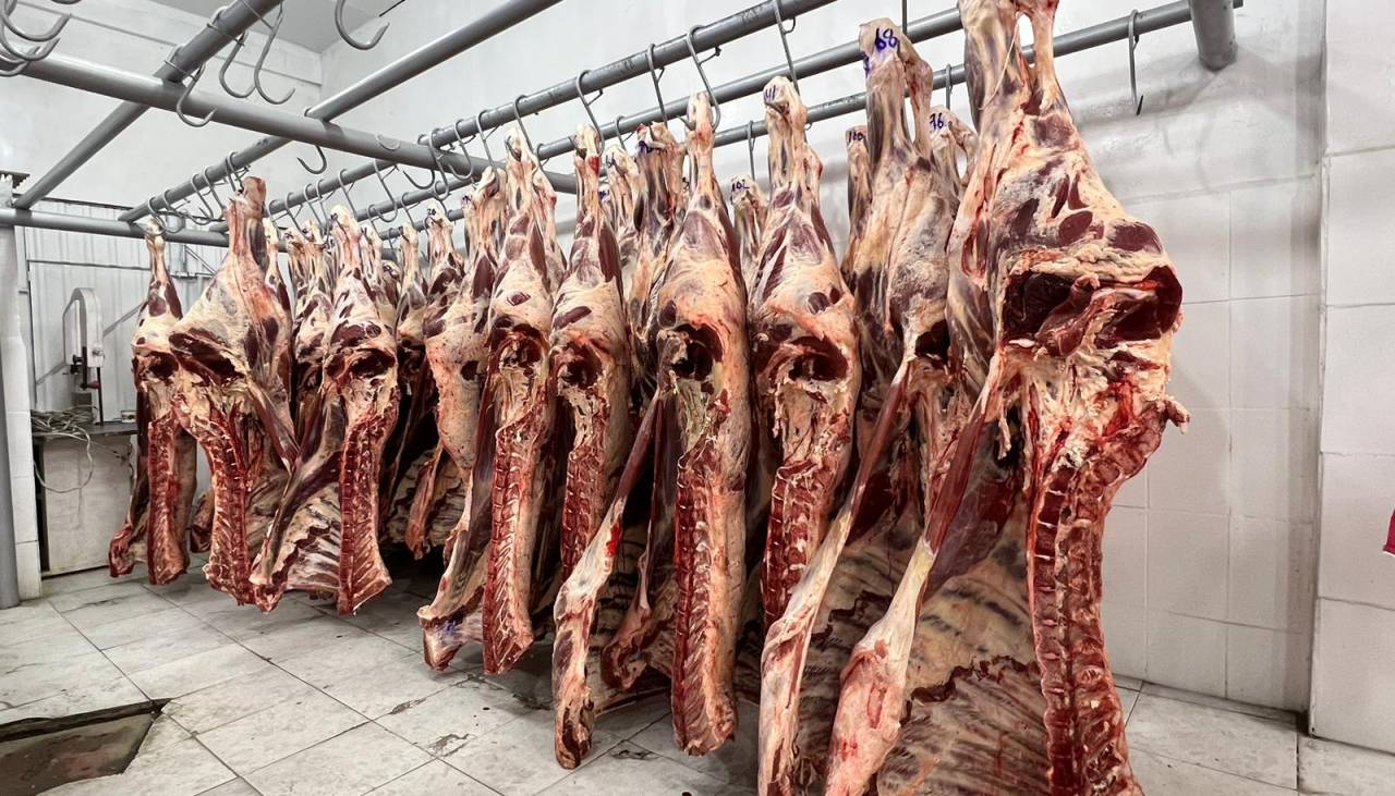 Gobierno garantiza continuidad de las exportaciones de carne y dice que es un asunto de Estado