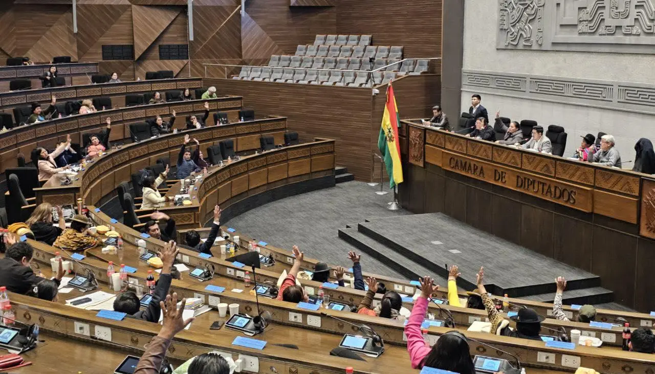 Cámara de Diputados tratará este miércoles un crédito de más de $us 67 millones