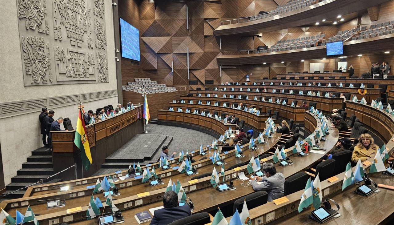 Cámara de Diputados sesiona con la ley de diferimiento de créditos en mesa