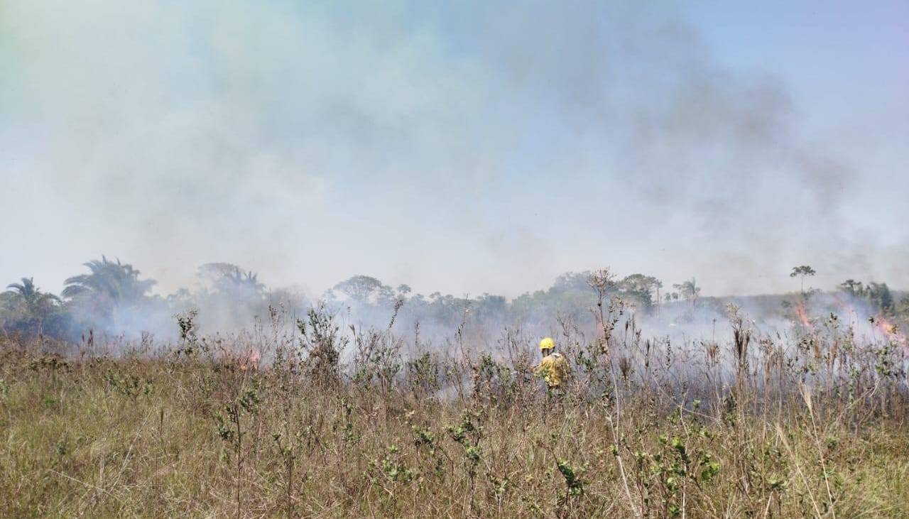 Reportan 13 incendios forestales activos que afectan ocho municipios en Santa Cruz