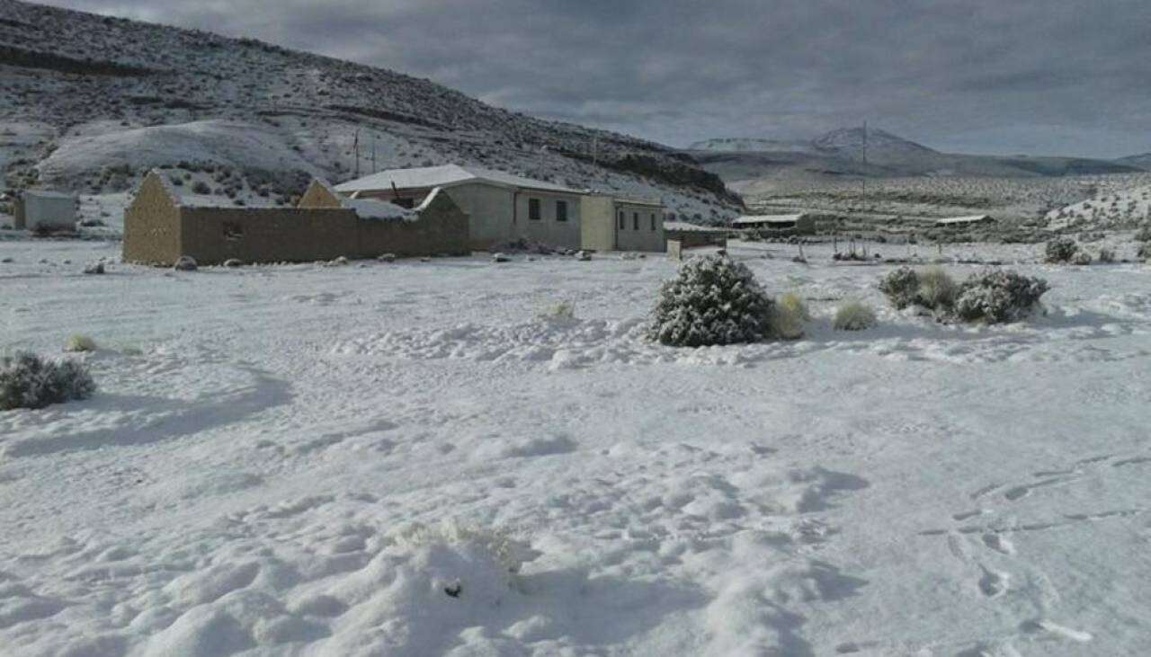Pronostican nevada en una región de Bolivia; preocupa daños en sembradíos y animales