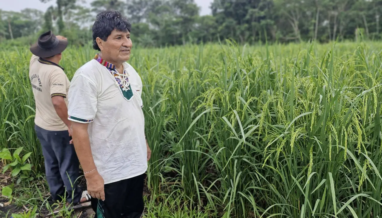 ¿Dónde está Evo Morales? Esto respondió el exsenador Loza