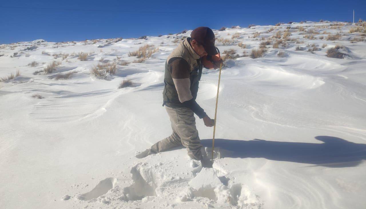 ¡Atención! Emiten alerta naranja por nevadas en zonas de cuatro departamentos
