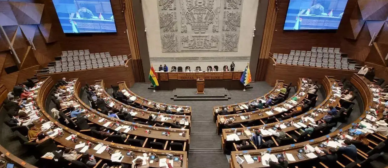 Asambleístas piden al viceministro Maldonado pruebas sobre supuesta estructura vinculada a Mariaca