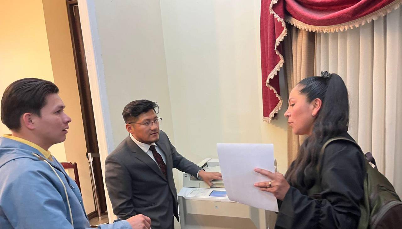 Primera postulante a vocal del Tribunal Supremo Electoral: ¿Quién es Eliana Mallea Verduguez?