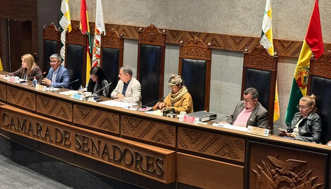 Crédito de $us 100 millones del Japón fue sancionado por el Senado y remitido al Ejecutivo