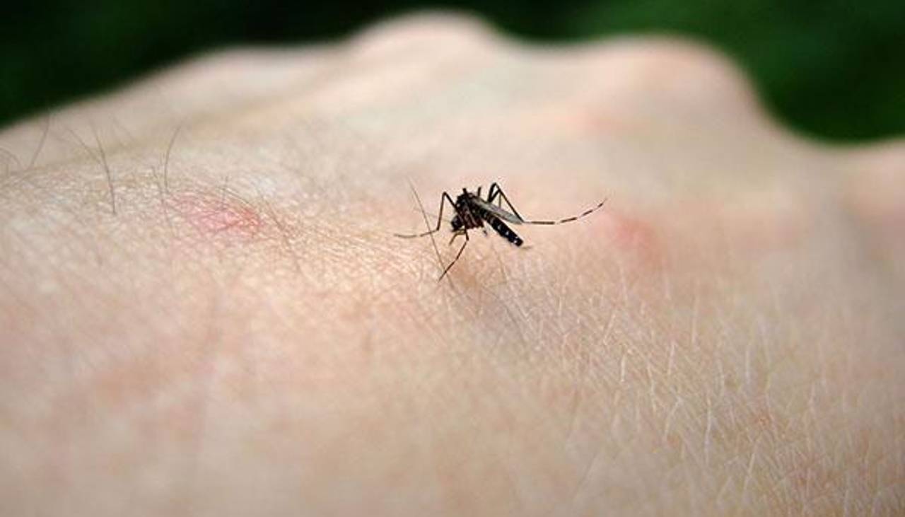 Investigan cuarto posible deceso por chikungunya en Santa Cruz