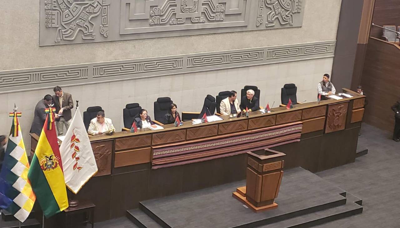El Legislativo sesiona para interpelar a la ministra de Salud, pero los interpelantes piden la suspensión