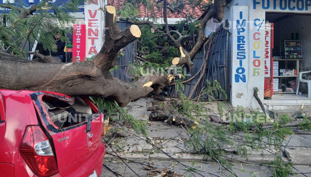 Fuertes vientos: Caída de al menos dos árboles en la capital cruceña deja motorizados y estructuras dañadas