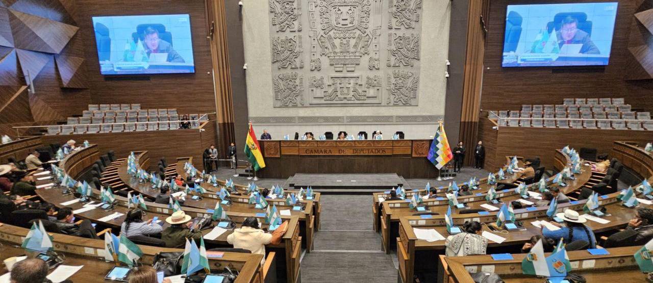 Convocan para este jueves a sesión de Diputados para tratar dos créditos por más de $us 314 millones