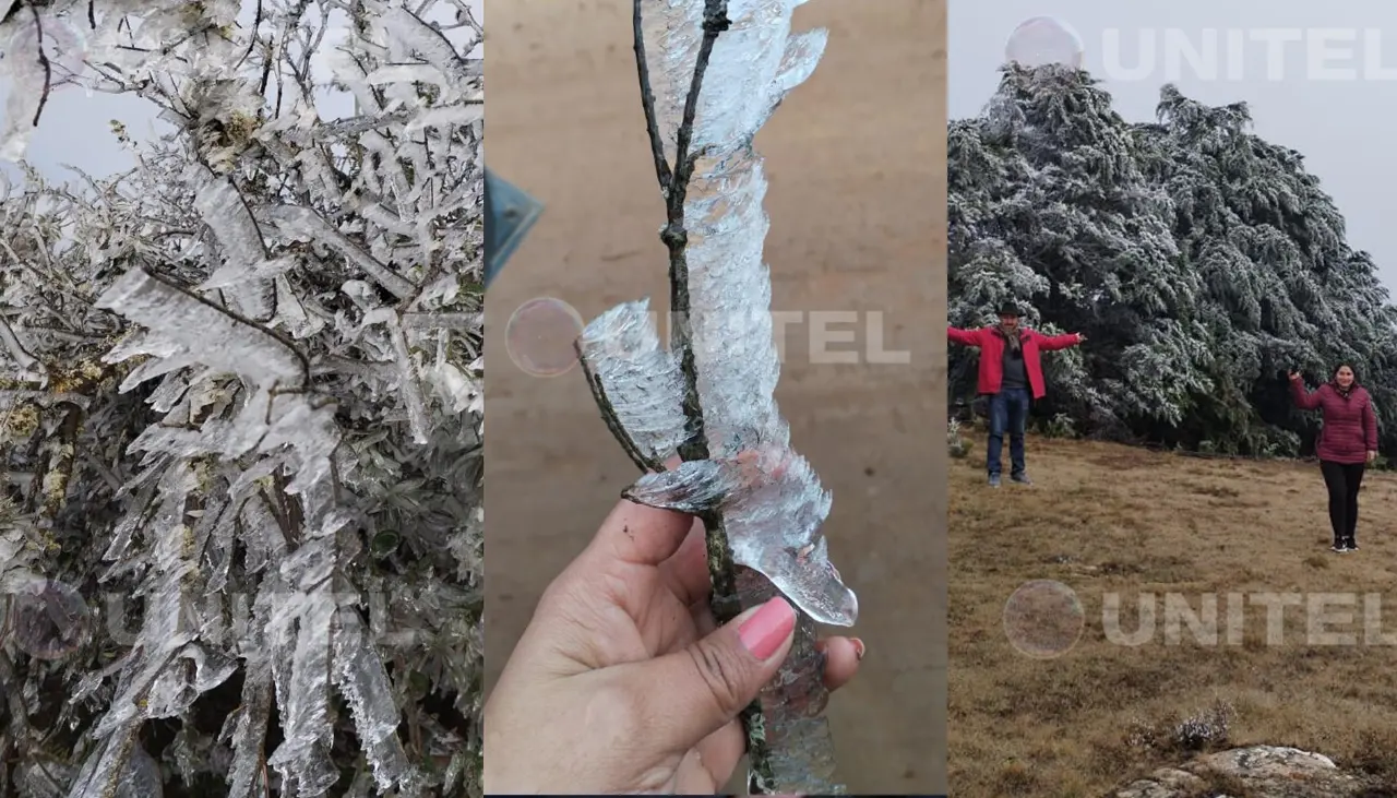 Un manto blanco sorprende a los habitantes de las zonas altas de Vallegrande, que enfrentan bajas temperaturas